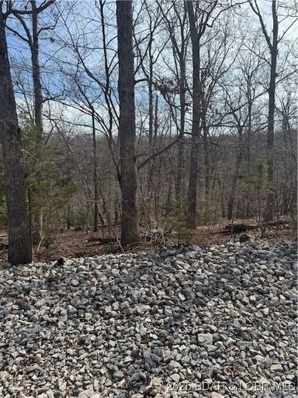 Recreational Property for sale in Camden County, Missouri