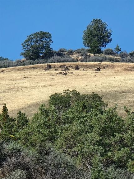 Timberland Property for sale in Siskiyou County, California