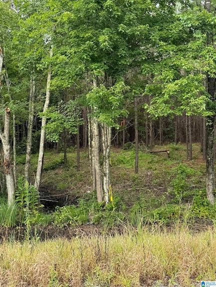 Land for sale in Talladega County, Alabama