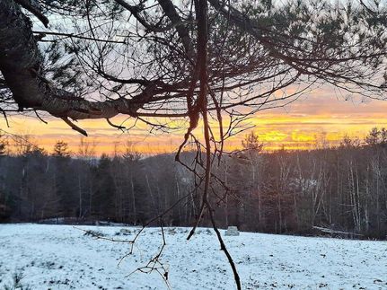 Undeveloped Land for sale in Windsor County, Vermont