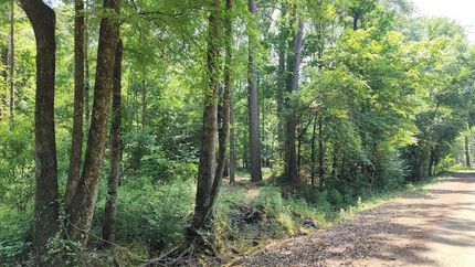 Farm and Ranch for sale in Shelby County, Texas