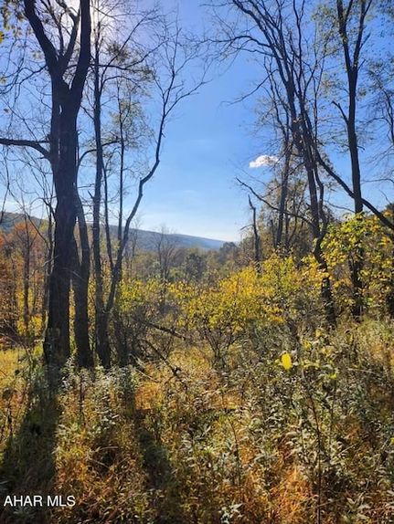 Undeveloped Land for sale in Bedford County, Pennsylvania