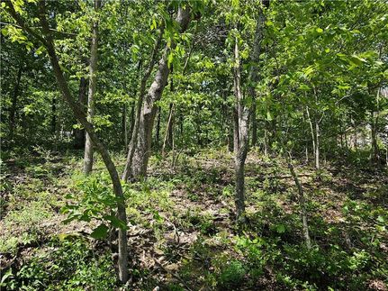 Homesite for sale in Benton County, Arkansas