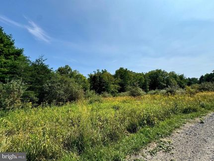 Recreational Property for sale in Hardy County, West Virginia