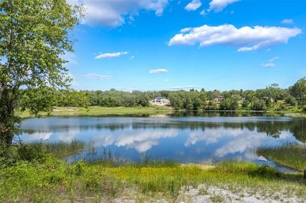 Undeveloped Land for sale in Lake County, Florida