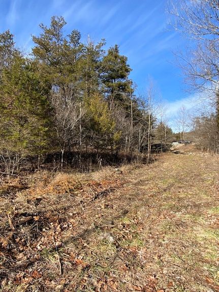 Undeveloped Land for sale in Taney County, Missouri
