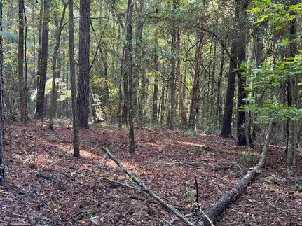 Timberland Property for sale in Cherokee County, Texas