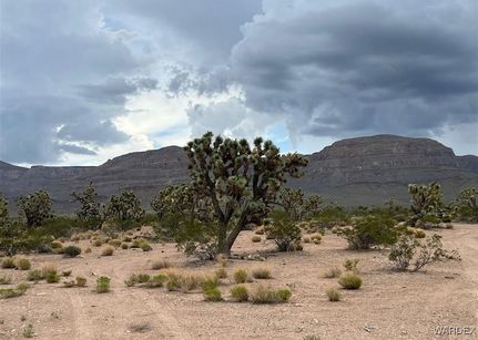 Farm and Ranch for sale in Mohave County, Arizona