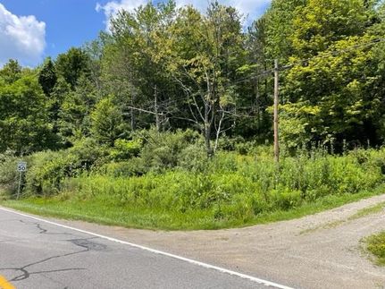 Timberland Property for sale in Bradford County, Pennsylvania
