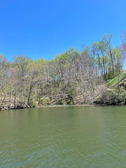 Undeveloped Land for sale in Pulaski County, Virginia