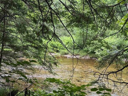 Undeveloped Land for sale in Windham County, Vermont