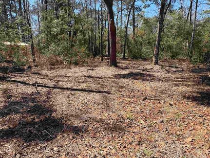 Homesite for sale in Wakulla County, Florida