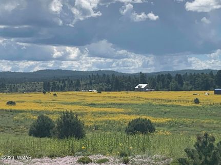 Farm and Ranch for sale in Navajo County, Arizona