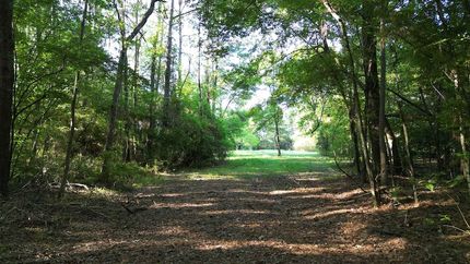 Farm and Ranch for sale in Jefferson County, Texas