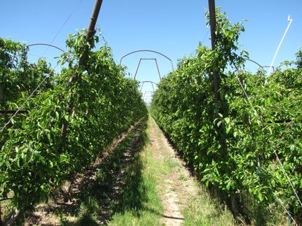 Farm and Ranch for sale in Benton County, Washington
