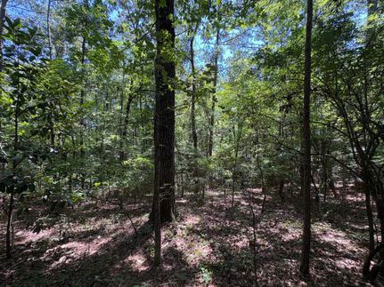 Commercial Property for sale in Lee County, Alabama