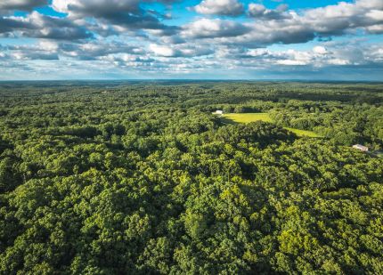 Timberland Property for sale in Saint Clair County, Missouri