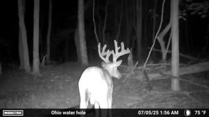 Farm and Ranch for sale in Scioto County, Ohio