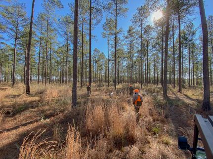 Farm and Ranch for sale in Crenshaw County, Alabama
