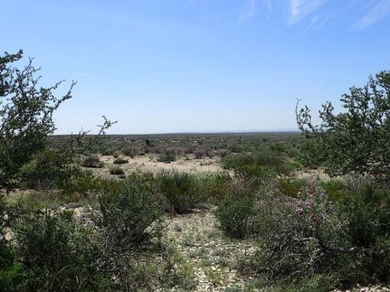 Farm and Ranch for sale in Terrell County, Texas