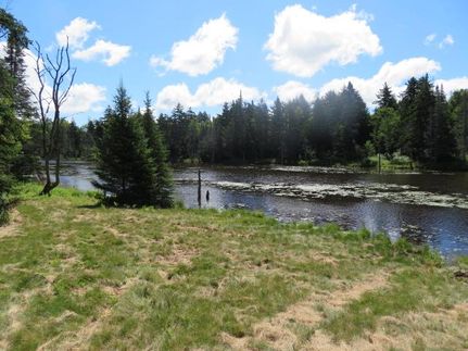 Undeveloped Land for sale in Lewis County, New York