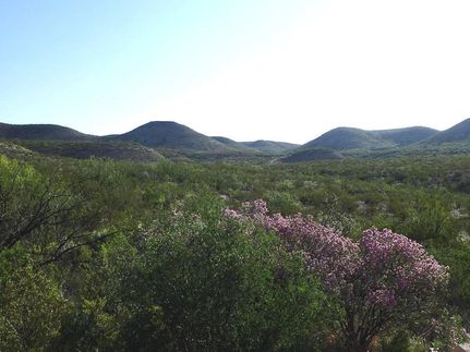 Farm and Ranch for sale in Terrell County, Texas