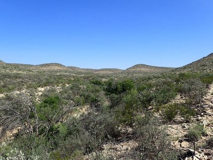 Farm and Ranch for sale in Terrell County, Texas
