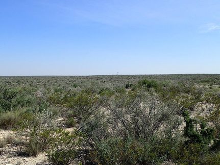 Land for sale in Terrell County, Texas