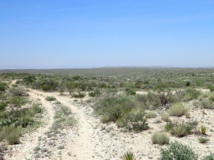 Land for sale in Terrell County, Texas