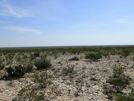 Land for sale in Terrell County, Texas