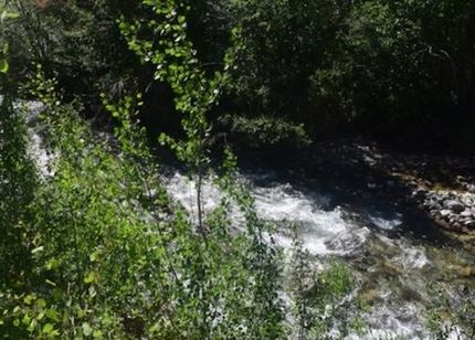 Undeveloped Land in Madison County, Montana