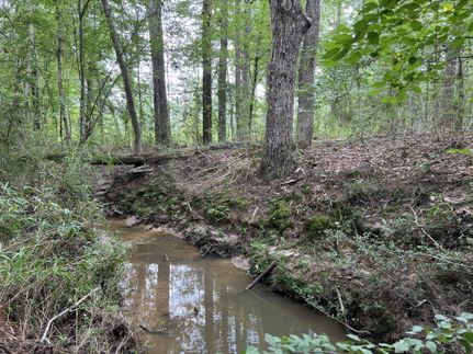 Farm and Ranch for sale in Sabine County, Texas