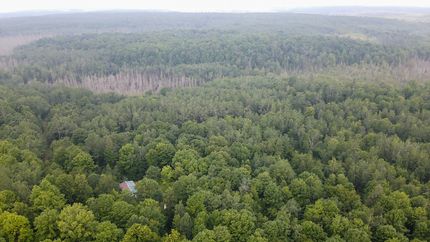 Farm and Ranch for sale in Langlade County, Wisconsin