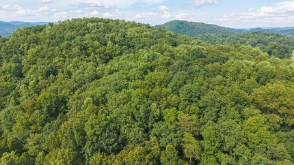 Timberland Property for sale in Hawkins County, Tennessee