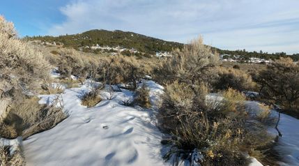 Undeveloped Land for sale in Costilla County, Colorado