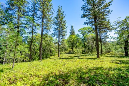 Farm and Ranch for sale in Amador County, California