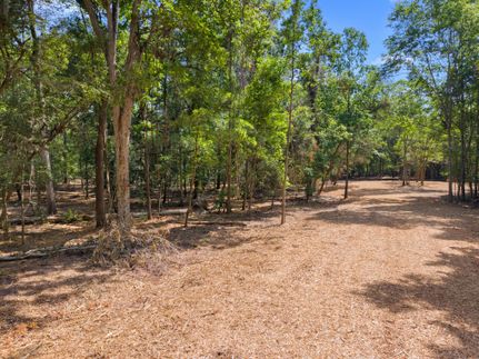 Timberland Property for sale in Gilchrist County, Florida