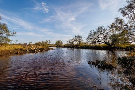 Farm and Ranch in Runnels County, Texas