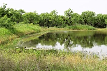 Farm and Ranch for sale in Coleman County, Texas
