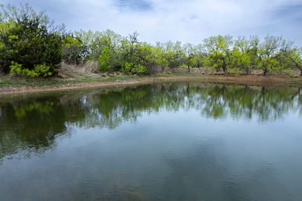 Farm and Ranch for sale in Coleman County, Texas