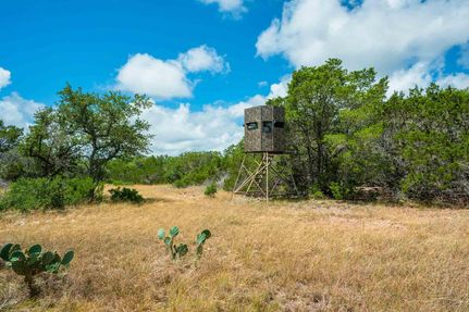 Farm and Ranch for sale in Real County, Texas