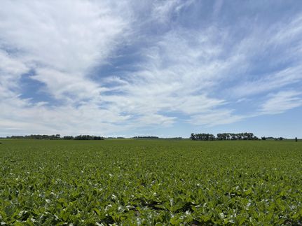 Farm and Ranch for sale in Renville County, Minnesota