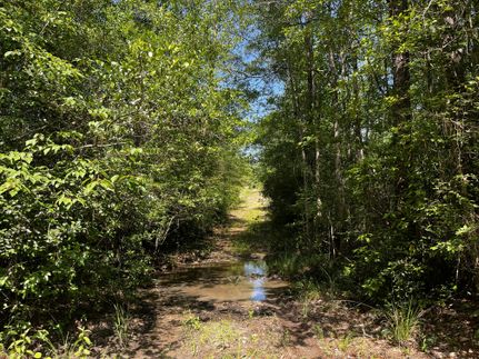 Farm and Ranch for sale in Holmes County, Florida