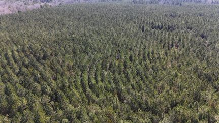Farm and Ranch for sale in Taliaferro County, Georgia