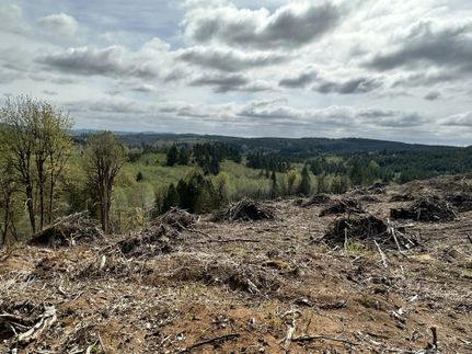 Recreational Property for sale in Lewis County, Washington