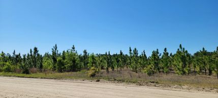 Land for sale in Bladen County, North Carolina