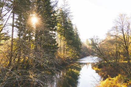 Timberland Property for sale in Lincoln County, Oregon