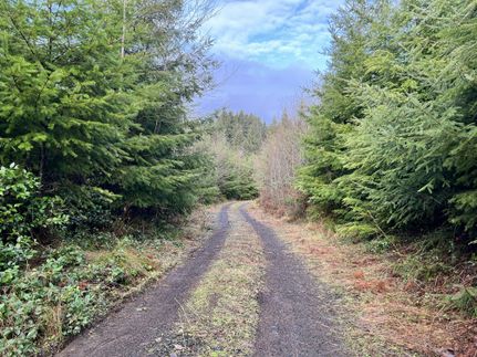 Farm and Ranch for sale in Grays Harbor County, Washington