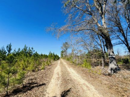 Farm and Ranch for sale in Telfair County, Georgia