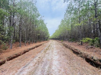 Timberland Property for sale in Wayne County, Georgia